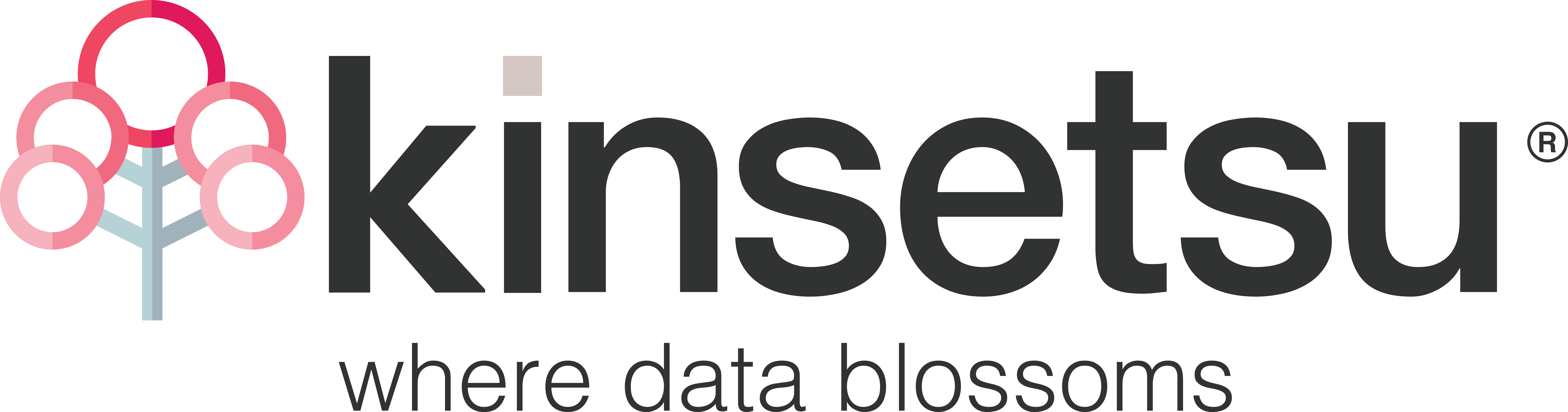 Kinsetsu Ltd logo